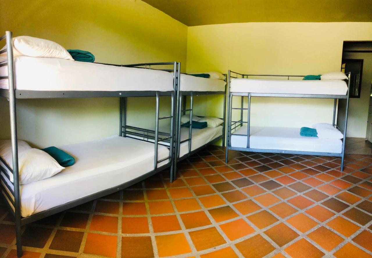 阿雷纳背包客度假村旅馆 La Fortuna 外观 照片 A typical hostel room