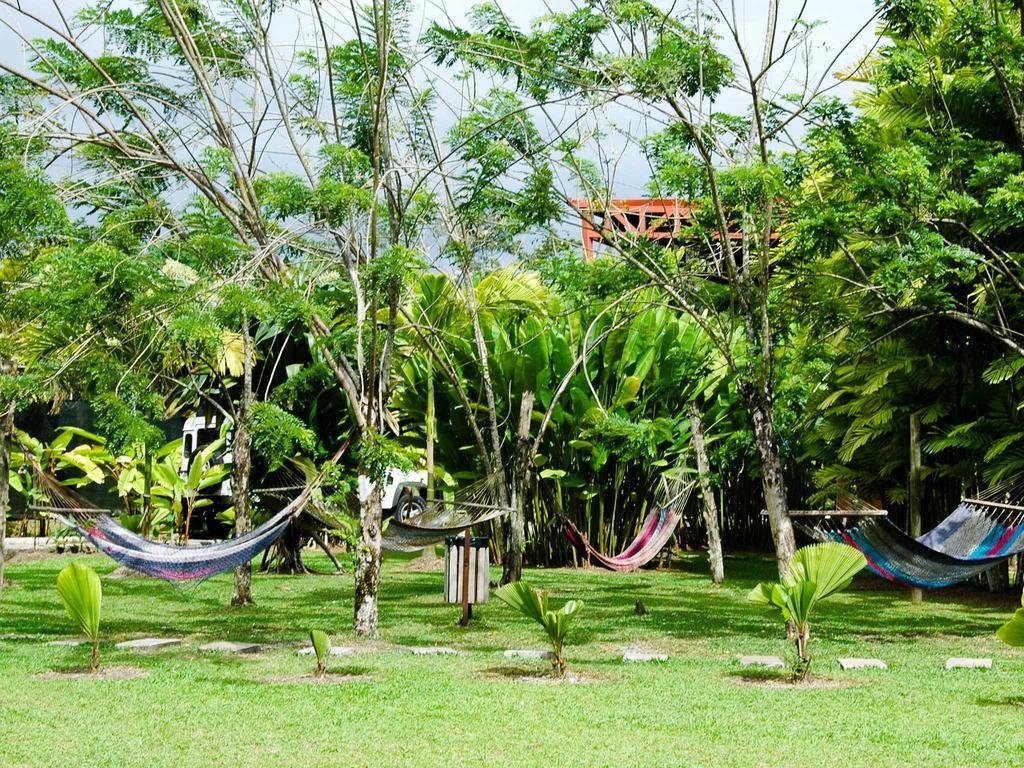 阿雷纳背包客度假村旅馆 La Fortuna 外观 照片 Hammocks in the garden of a hostel in Central America
