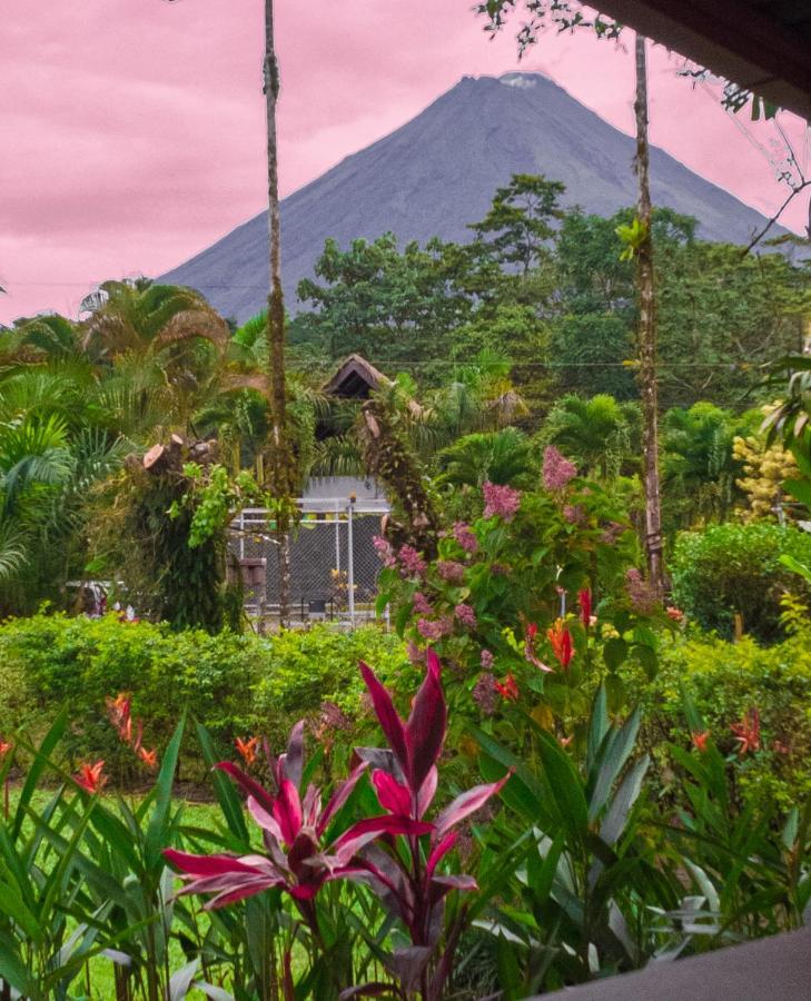阿雷纳背包客度假村旅馆 La Fortuna 外观 照片 La Fortuna, Costa Rica