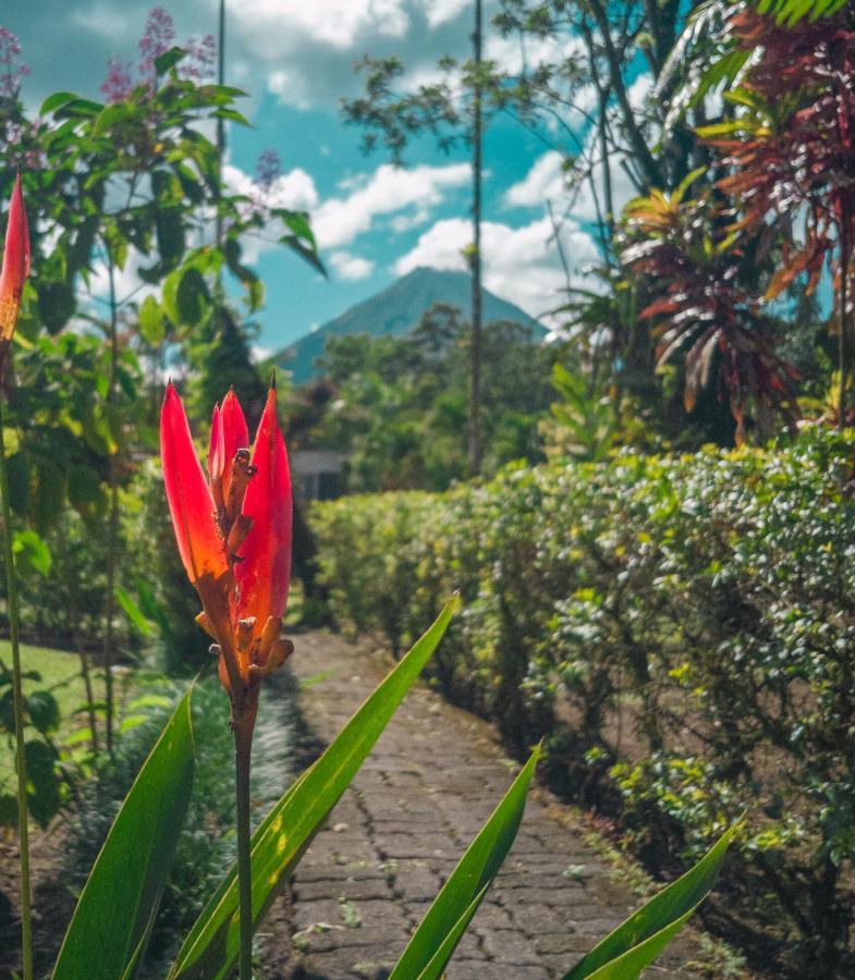 阿雷纳背包客度假村旅馆 La Fortuna 外观 照片 A view of Mount Apo
