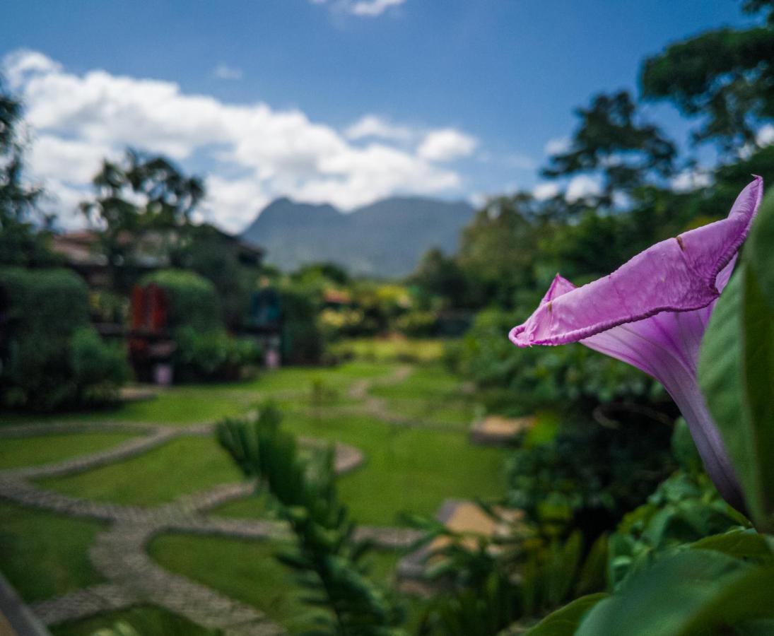 阿雷纳背包客度假村旅馆 La Fortuna 外观 照片 View of the San Juan Mountains from the San Juan del Monte