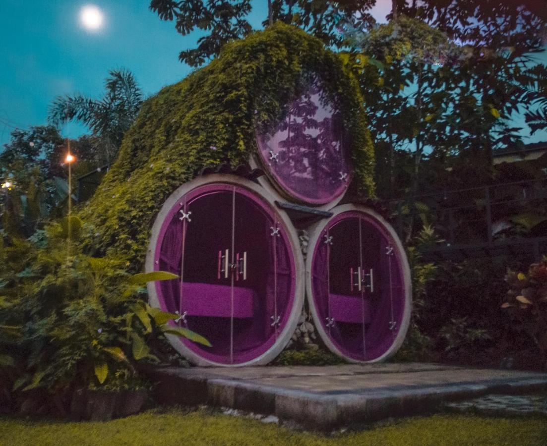 阿雷纳背包客度假村旅馆 La Fortuna 外观 照片 The Hobbit Hole