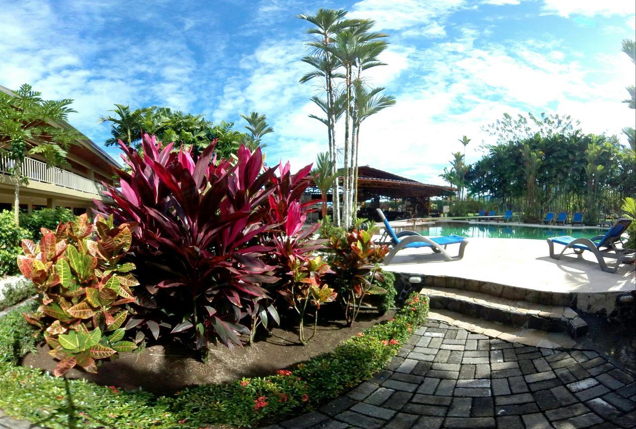 阿雷纳背包客度假村旅馆 La Fortuna 外观 照片 The pool at the resort