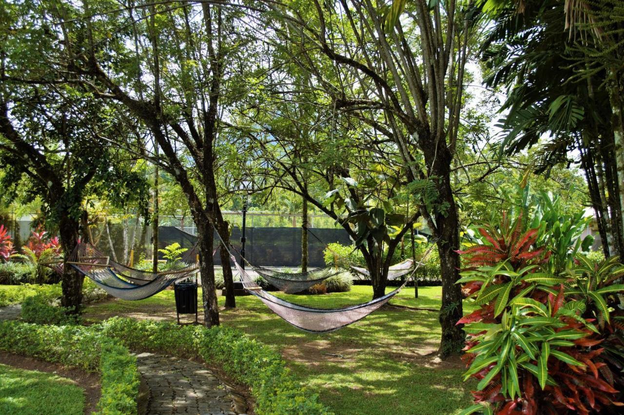 阿雷纳背包客度假村旅馆 La Fortuna 外观 照片 Hammocks at the University of Hawaii at Hilo