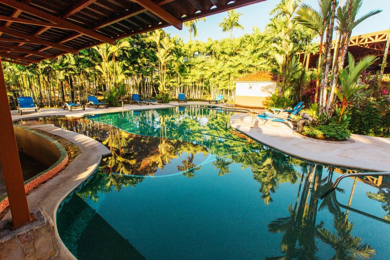 阿雷纳背包客度假村旅馆 La Fortuna 外观 照片 The swimming pool at the resort
